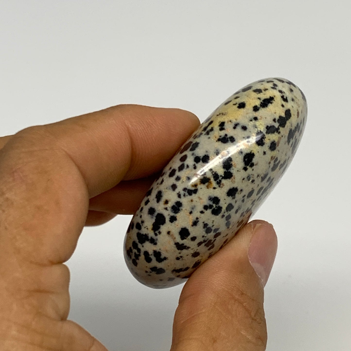 80.5g, 2.2"x1.7"x0.8", Natural Dalmatian Jasper Palm-Stone @India, B29455