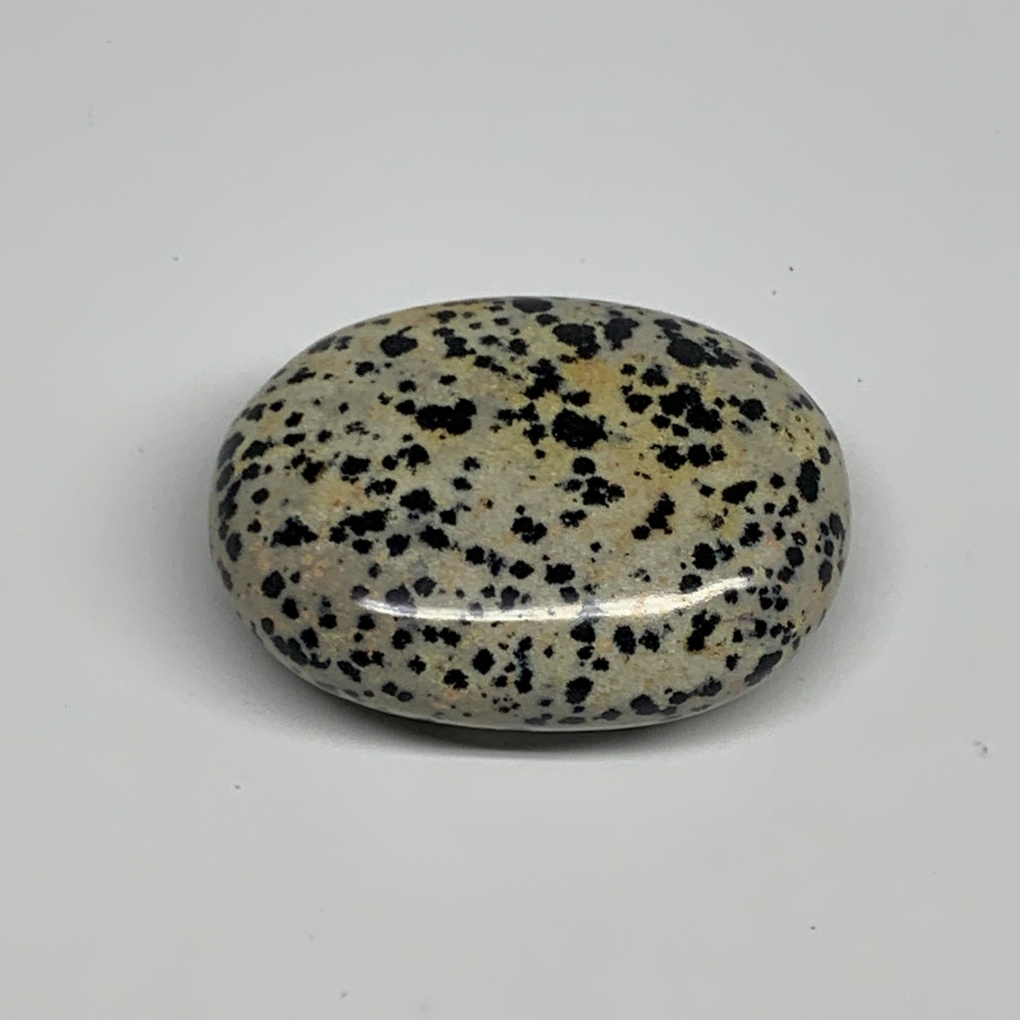 80.5g, 2.2"x1.7"x0.8", Natural Dalmatian Jasper Palm-Stone @India, B29455
