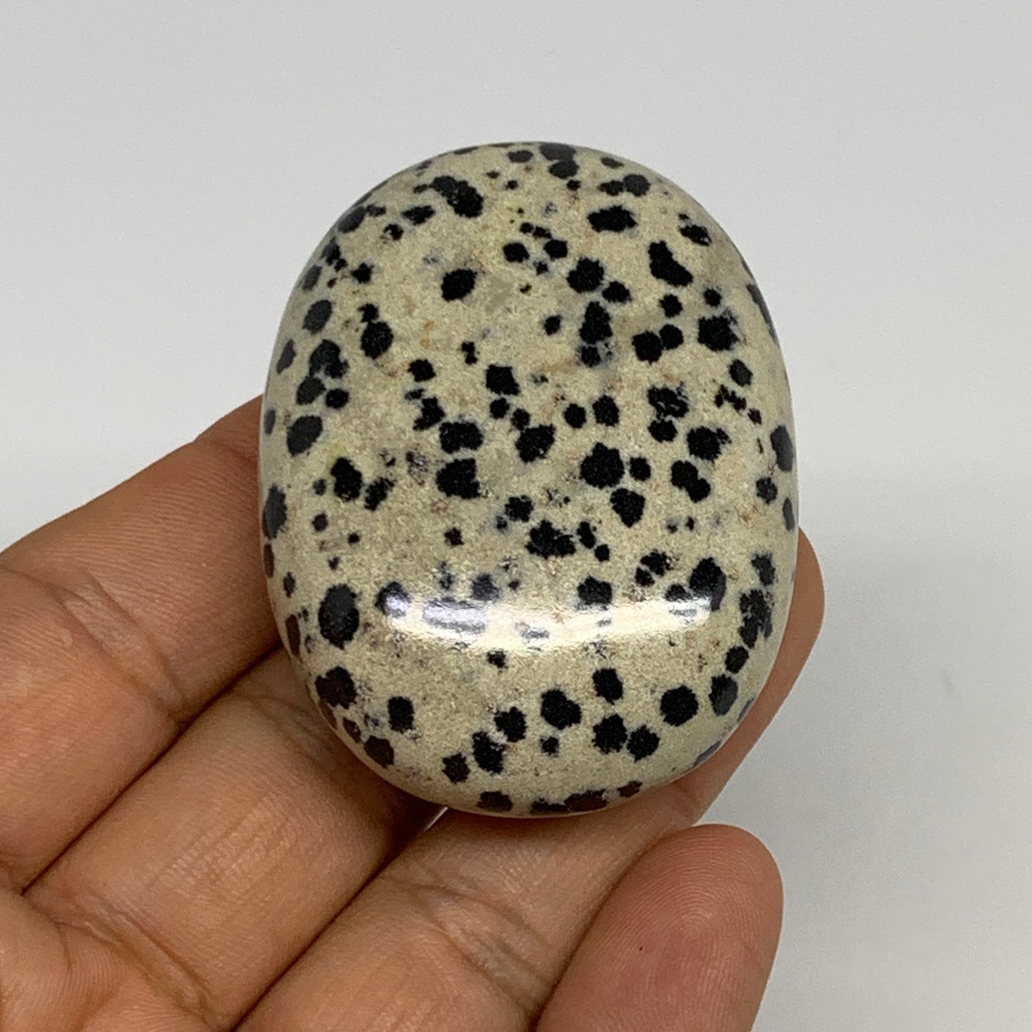 74.1g, 2.1"x1.6"x0.8", Natural Dalmatian Jasper Palm-Stone @India, B29458