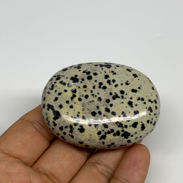 83.7g, 2.3"x1.7"x0.8", Natural Dalmatian Jasper Palm-Stone @India, B29460