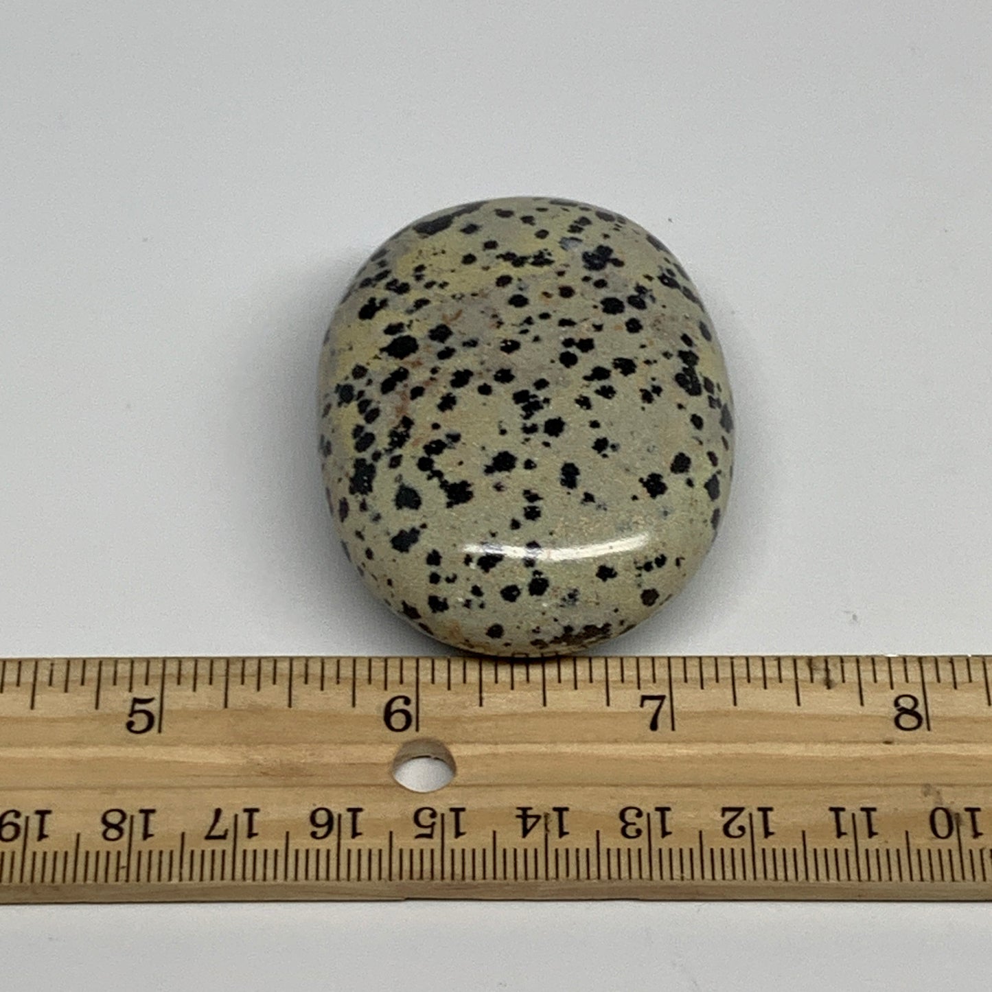 83.7g, 2.3"x1.7"x0.8", Natural Dalmatian Jasper Palm-Stone @India, B29460