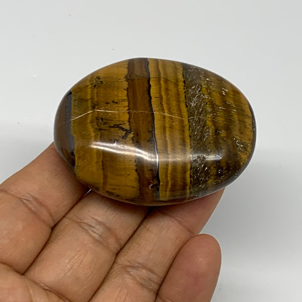 87.5g, 2.2"x1.7"x0.8", Natural Tiger's Eye Palm-Stone Gemstone @India, B27958