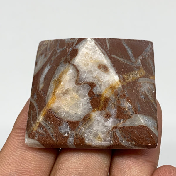 58.5g,1.1"x1.6" Natural Untreated Red Shell Fossils Pyramid Reiki Energy, F1221