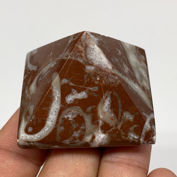 55.1g,1.1"x1.6" Natural Untreated Red Shell Fossils Pyramid Reiki Energy, F1236
