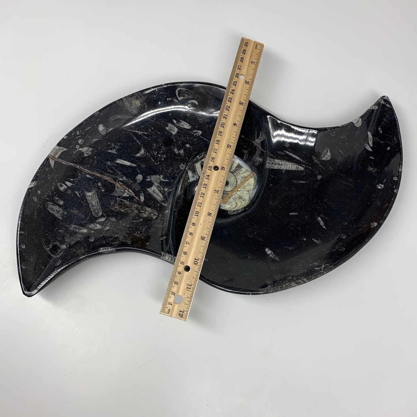2930g, 17"x8" Large Wave Ring Shape Black Fossils Dish Orthoceras @Morocco,F295