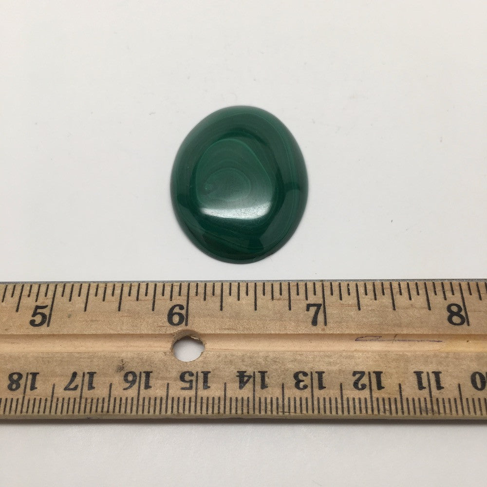 18.7 Grams Oval Shape Natural Green Malachite Cabochon Flat Bottom @Congo,E01 - watangem.com