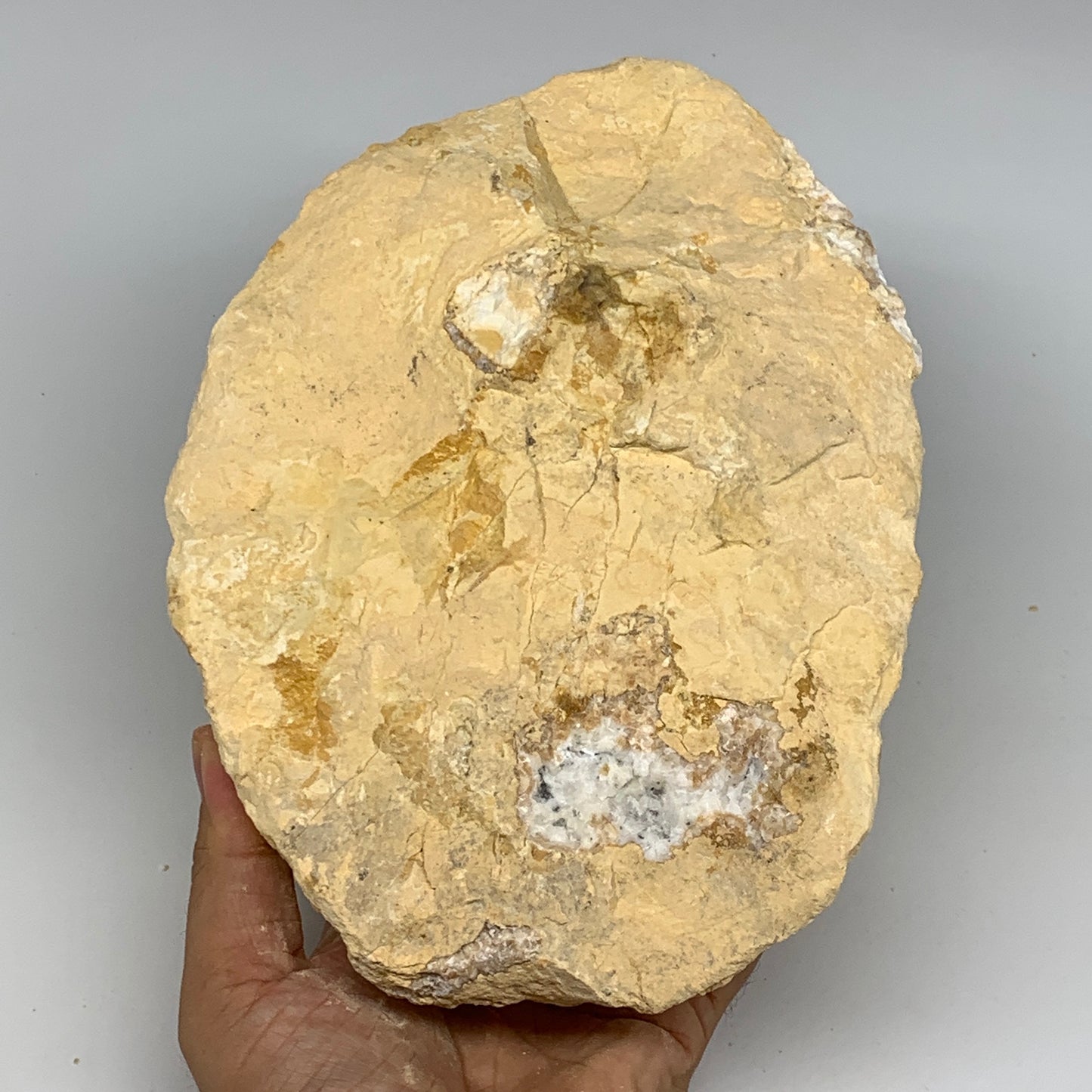 5.56 lbs, 8.5"x5.8"x3.2", Natural Calcite Geode Mineral Specimens @Morocco, B111