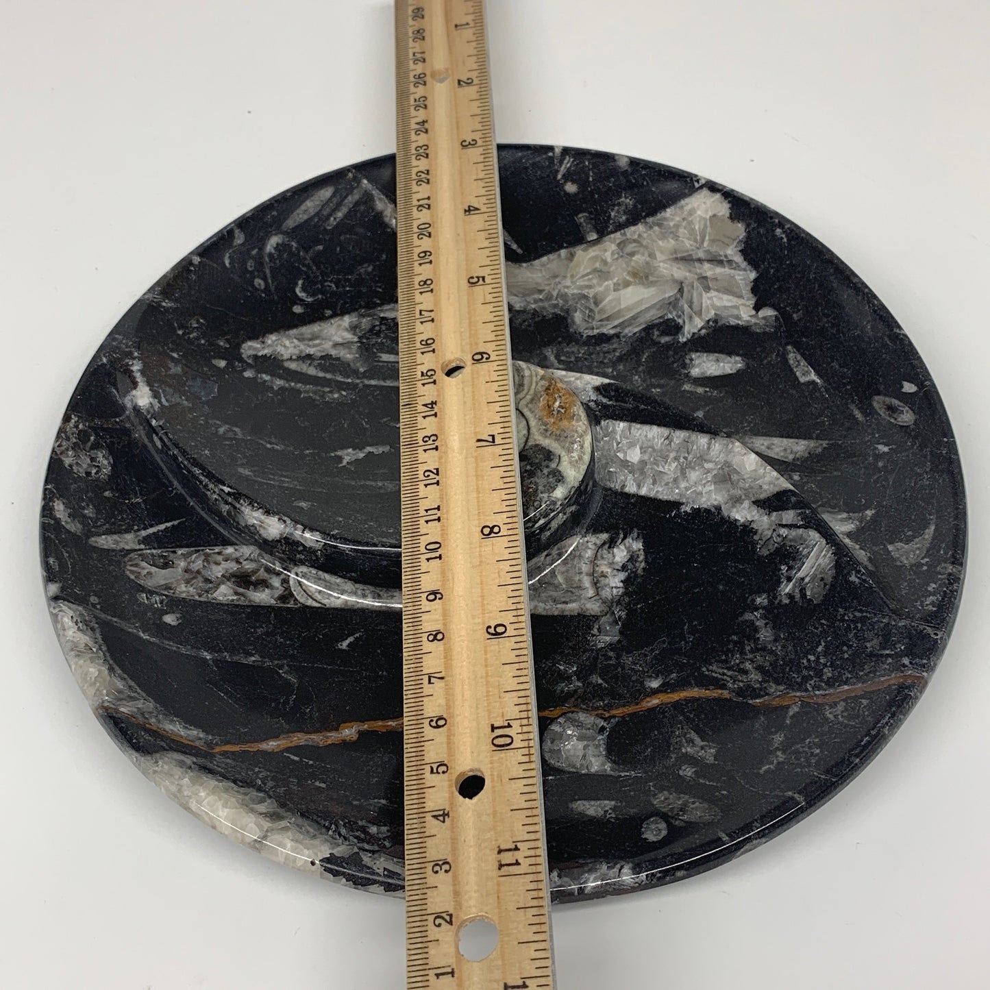 896g, 8.25" Black Round Fossils Orthoceras Ammonite Bowl Ring @Morocco, F299