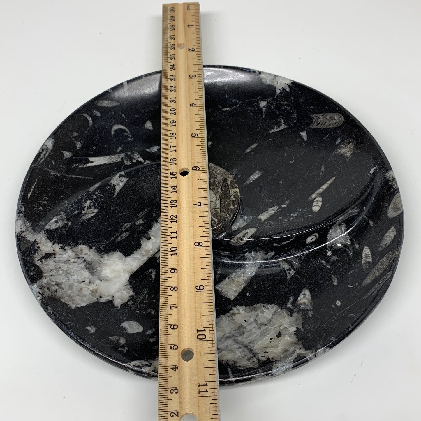 894g, 8.25" Black Round Fossils Orthoceras Ammonite Bowl Ring @Morocco, F312