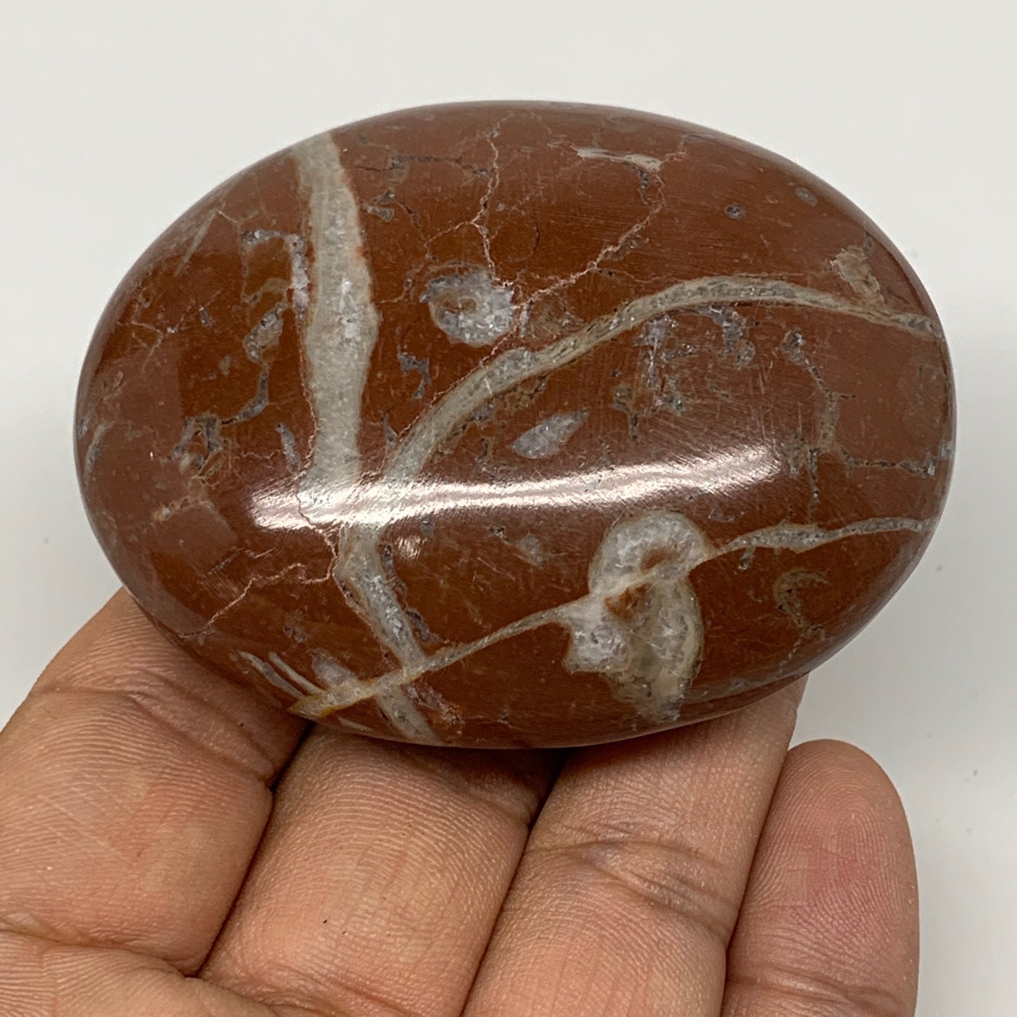 126.5g, 2.6"x2"x1", Natural Untreated Red Shell Fossils Oval Palms-tone, F1291