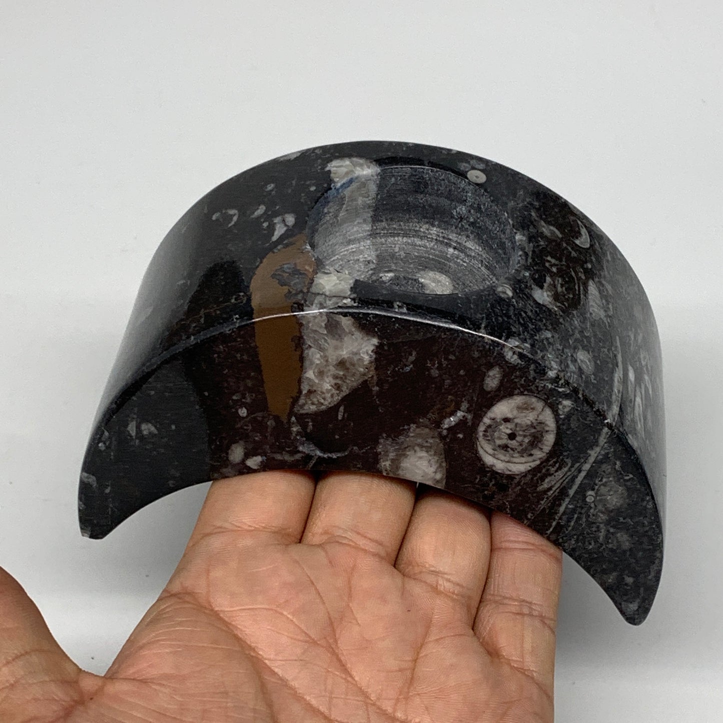 626g, 4.6" x 2.3" x 1.6" Moon Shape Fossils Orthoceras Candle Holder, B8691