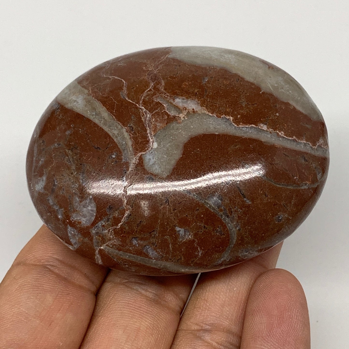 133.3g, 2.6"x2.1"x1.1", Natural Untreated Red Shell Fossils Oval Palms-tone, F13