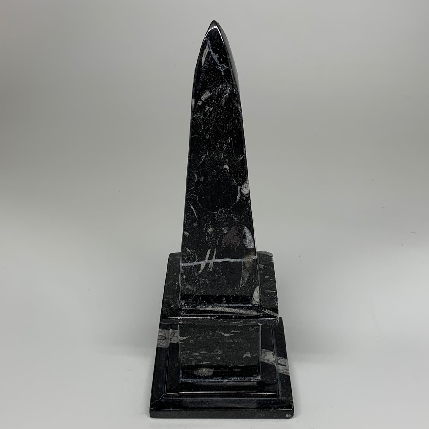 1320g, 9.75" x 3.6" Black Fossils Orthoceras Tower Marble @Morocco, B8703