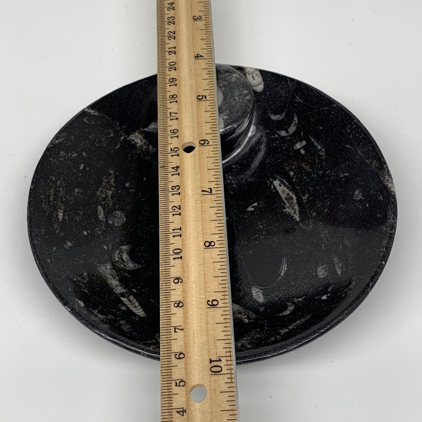 402.4g, 6" Small Black Round Fossils Orthoceras Ammonite Bowl Ring @Morocco,F371