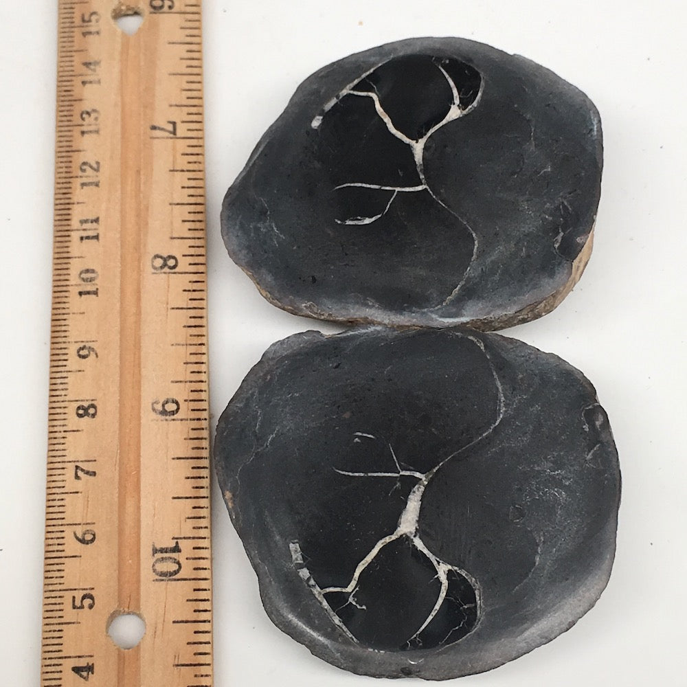 1 Pair, 171.8g,2.4"x2.1" Natural Unique Septarian Nodules Slabs @Morocco,MF3543
