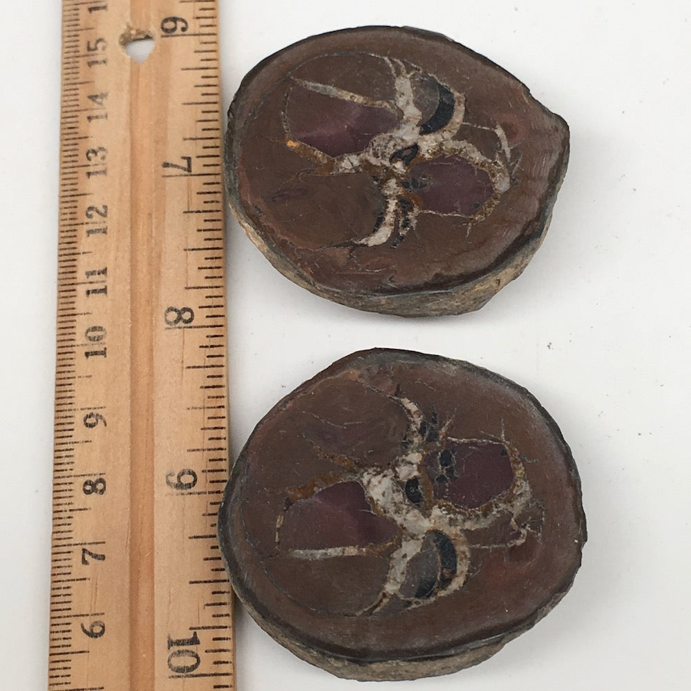 1 Pair,109.3g,2"x1.9" Natural Unique Septarian Nodules Slabs @Morocco,MF3568