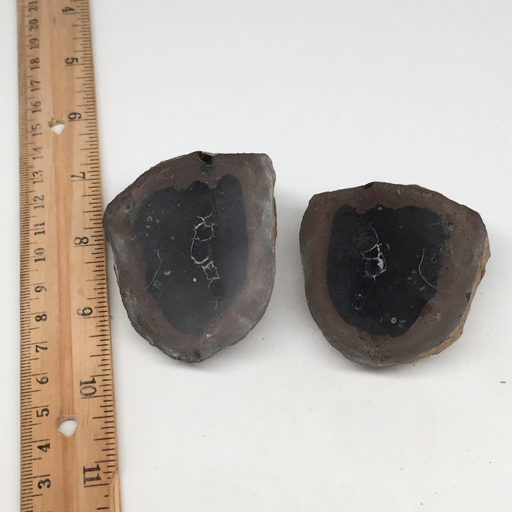 1 Pair,198.8g,2.5"x2" Natural Unique Septarian Nodules Slabs @Morocco,MF3616