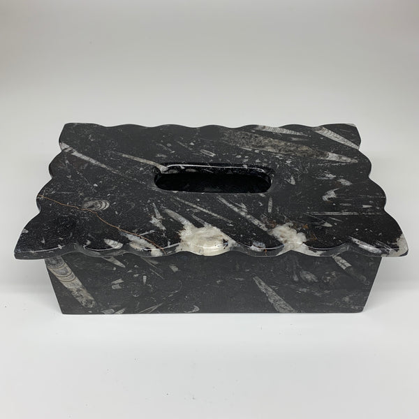 2.2kg, 10.5"x6.25" Black Fossils Orthoceras Tissue Paper Box Cover @Morocco,F437