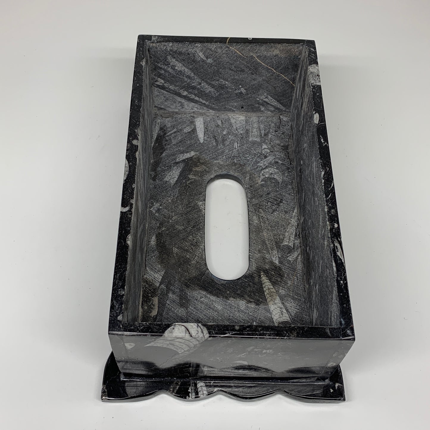 2.33kg, 10.5"x6.25" Black Fossils Orthoceras Tissue Paper Box Cover @Morocco,F44