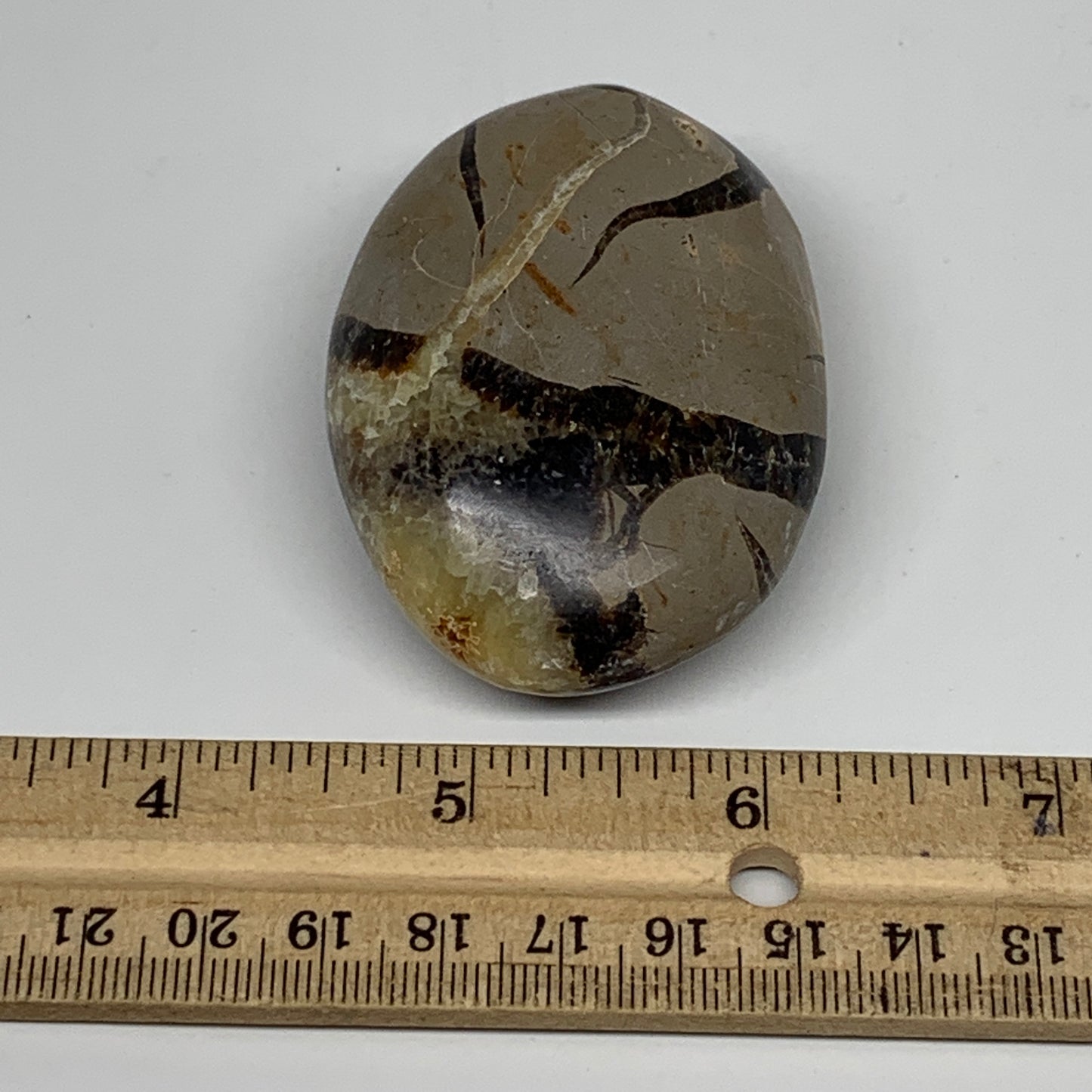 109g,2.6"x1.8"x1" Septarian Nodule Palm-Stone Polished Reiki Madagascar,B5119