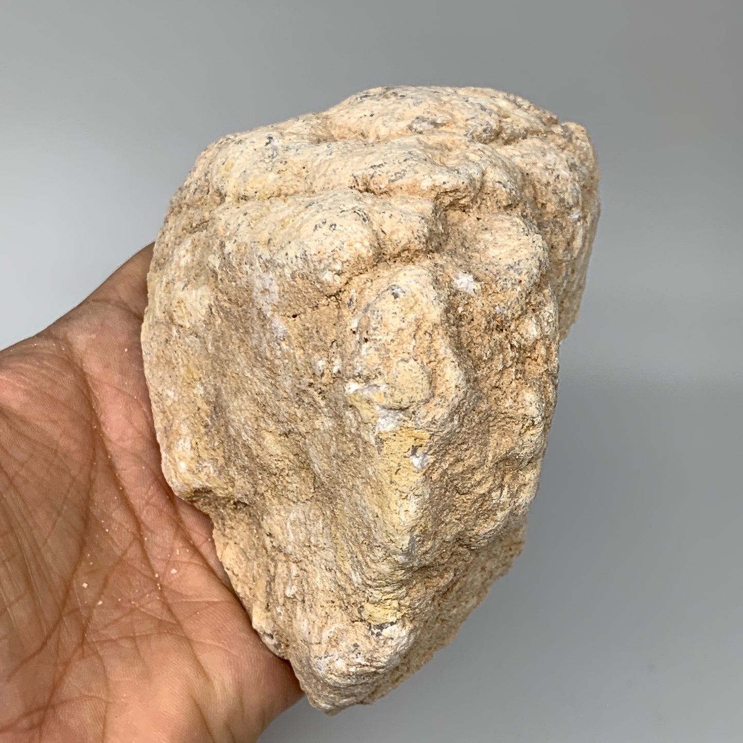 3.46Lbs,6.25"x5.1"x3.8", 1 Pair, Natural Quartz Geodes Sculpture @Morocco,B10516