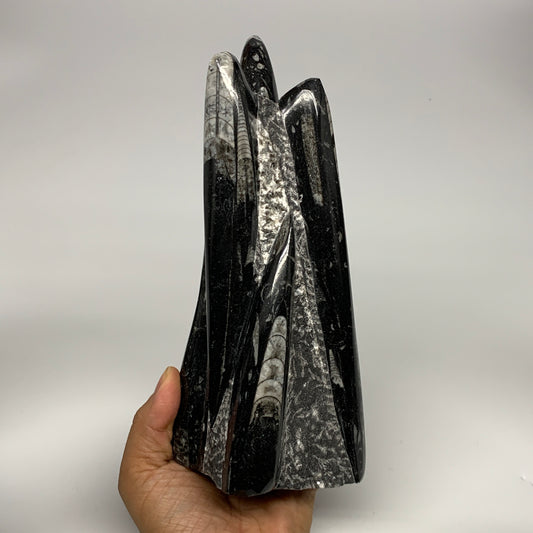 1285g, 8.25"x3.9"x2.7" Black Fossils Orthoceras Sculpture Tower @Morocco, B23418