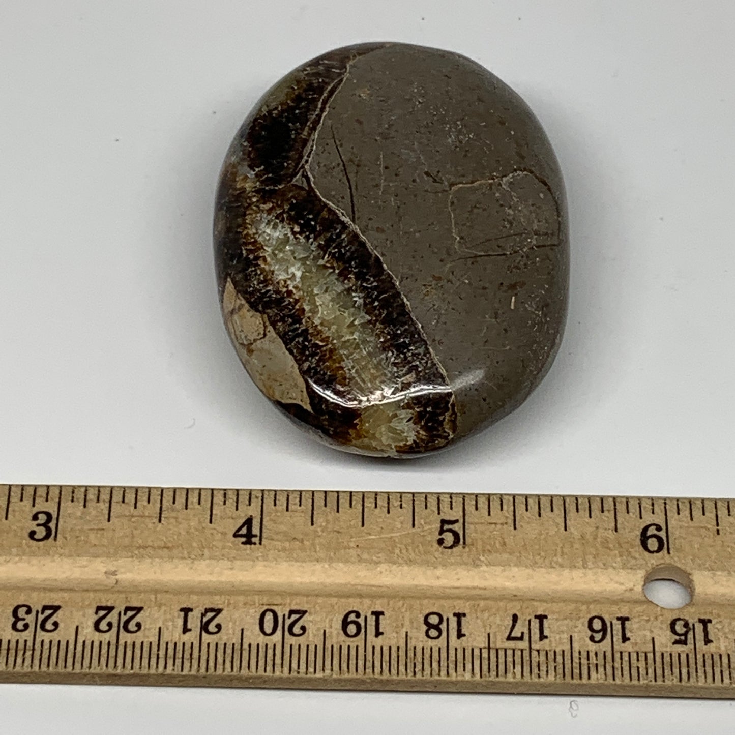 107.6g,2.5"x1.9"x0.9" Septarian Nodule Palm-Stone Polished Reiki Madagascar,B513