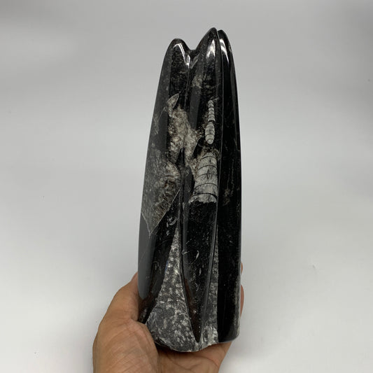 1050g, 7.8"x3.1"x2.5" Black Fossils Orthoceras Sculpture Tower @Morocco, B23444