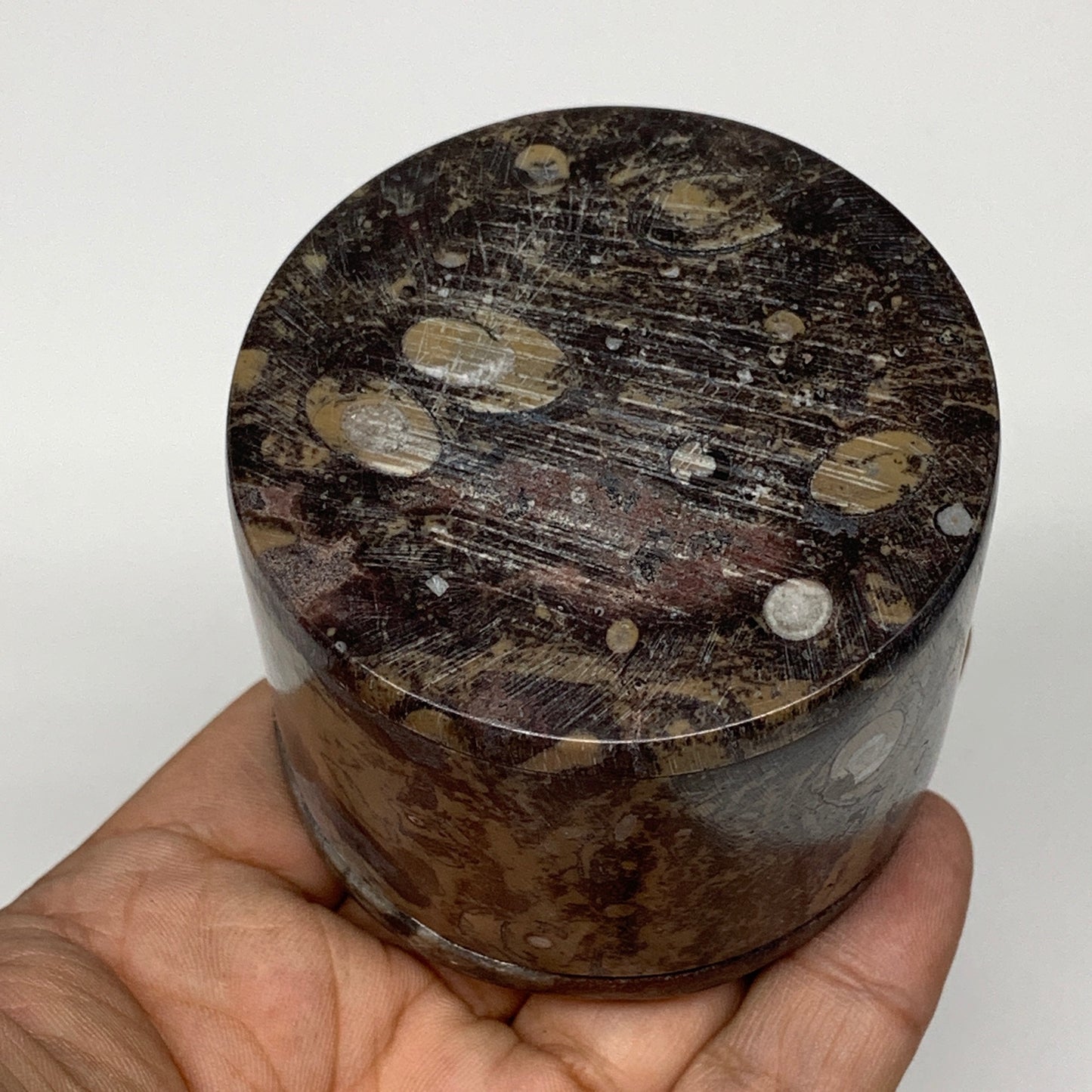 217.9g, 2.1"x2.4" Brown Fossils Ammonite Jewelry Box from Morocco, F2471