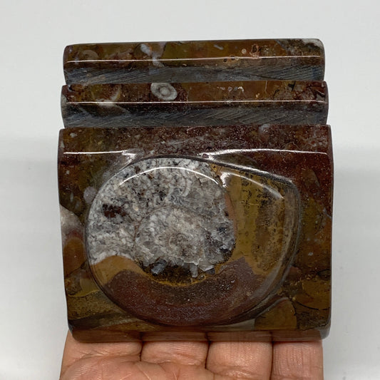 510g, 2.8" x 2.8" x 1.9" Fossils Orthoceras Ammonite Business Card Holder,B8096