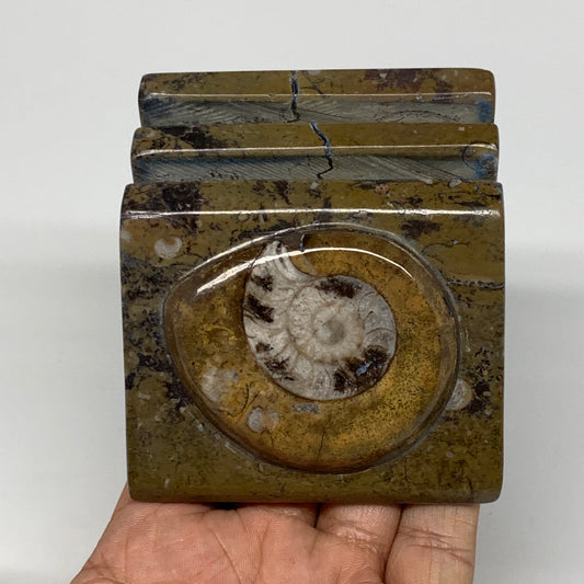 506g, 2.9" x 2.9" x 1.9" Fossils Orthoceras Ammonite Business Card Holder,B8101