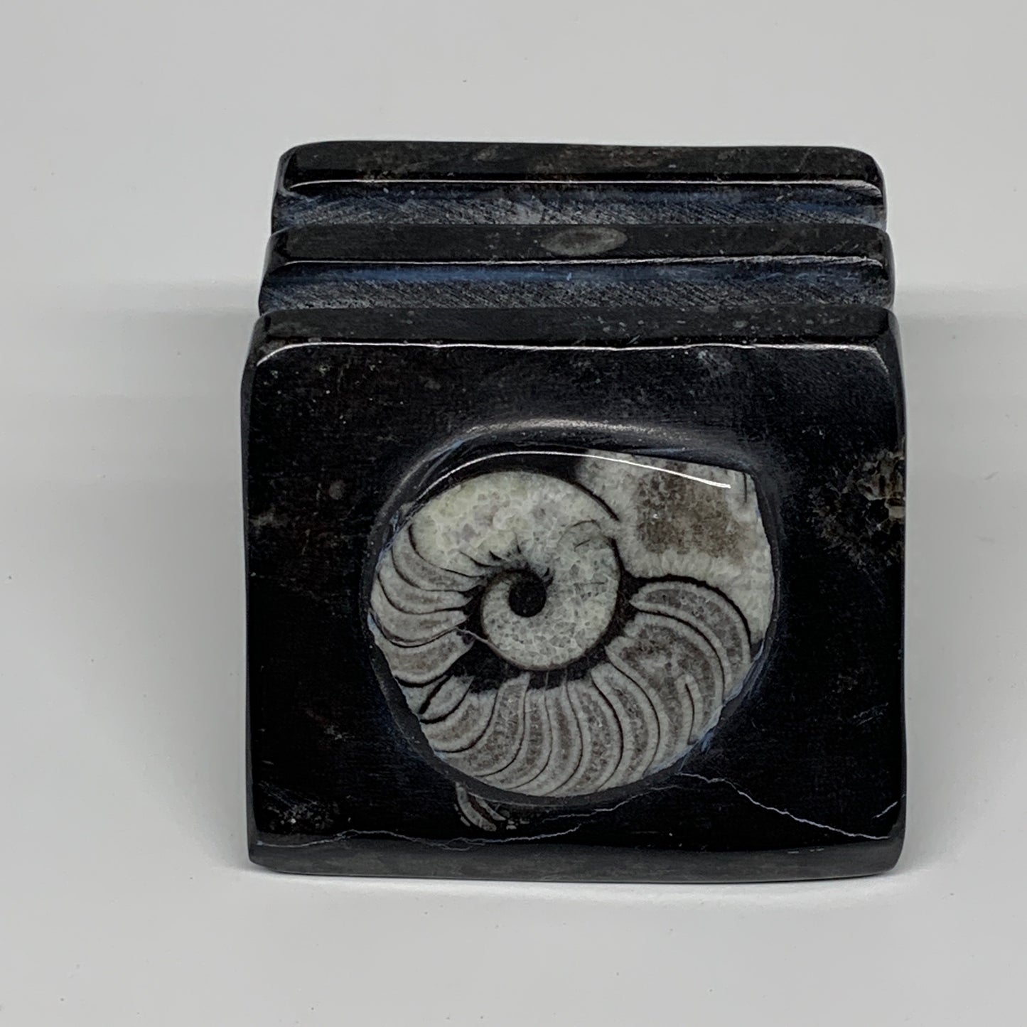 500g, 2.8" x 2.9" x 2" Black Fossils Orthoceras Ammonite Business Card Holder,B8