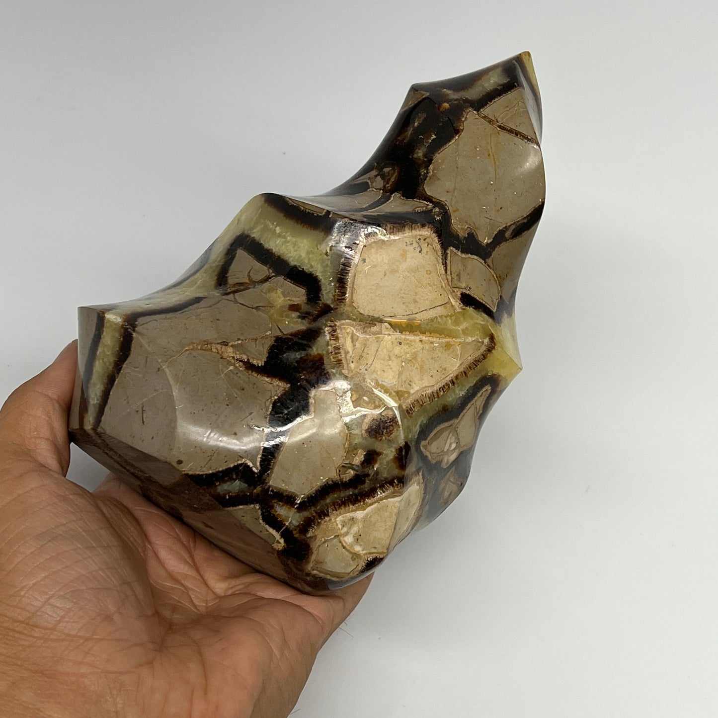 1215g,6.7"x4.2"x2.9" Natural Septarian Flame Crystal Gemstones @Madagascar,B1950