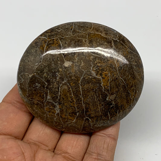129.6g,2.7"x2.4"x 0.9", Coral Fossils Palm-Stone Polished from Morocco, B20399
