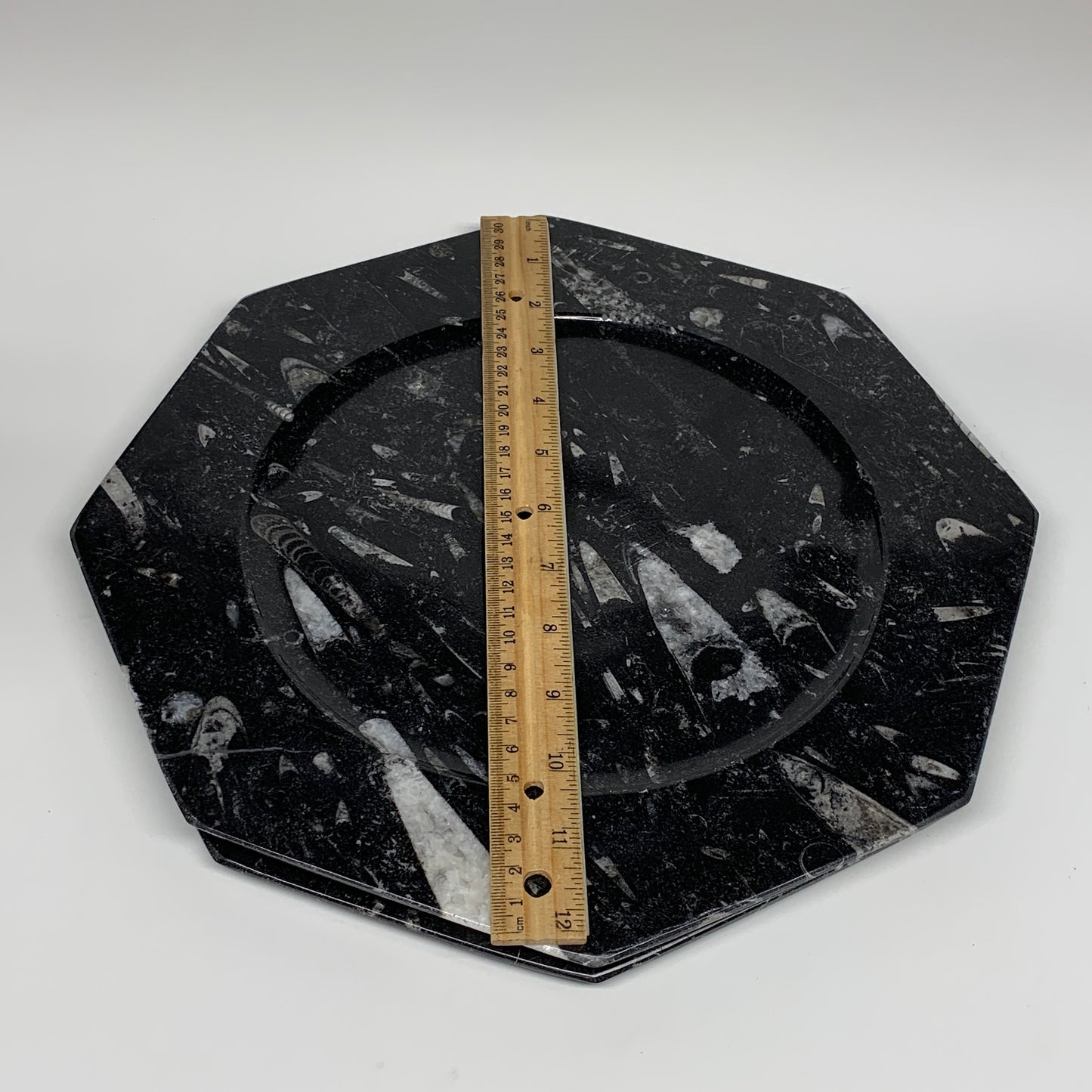 2pcs, 12" Large Octagon Shape Black Fossils Orthoceras Plates @Morocco, B8287