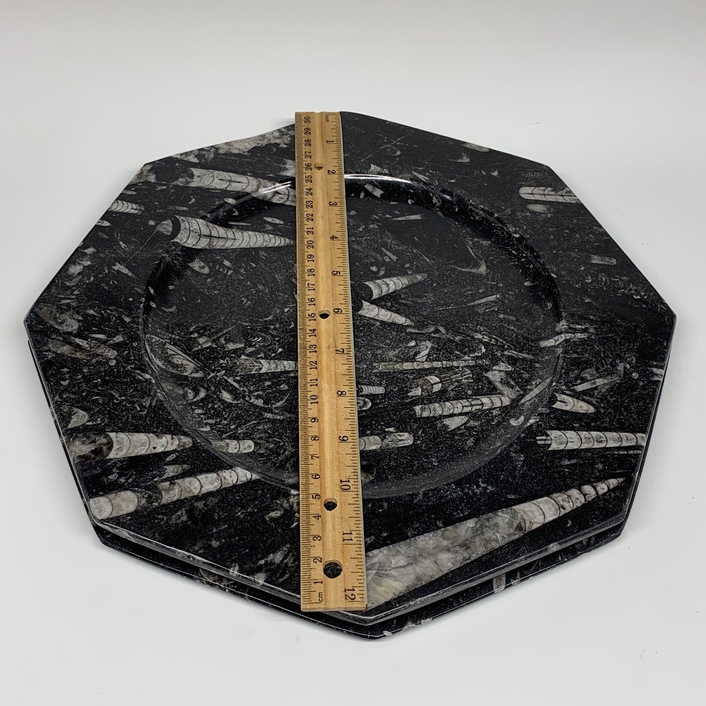 2pcs, 12" Large Octagon Shape Black Fossils Orthoceras Plates @Morocco, B8292