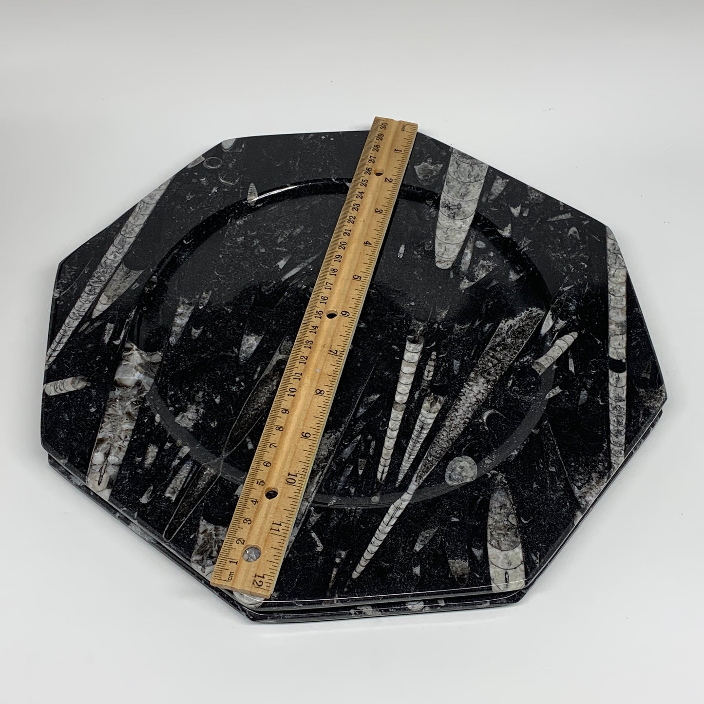 2pcs, 12" Large Octagon Shape Black Fossils Orthoceras Plates @Morocco, B8297