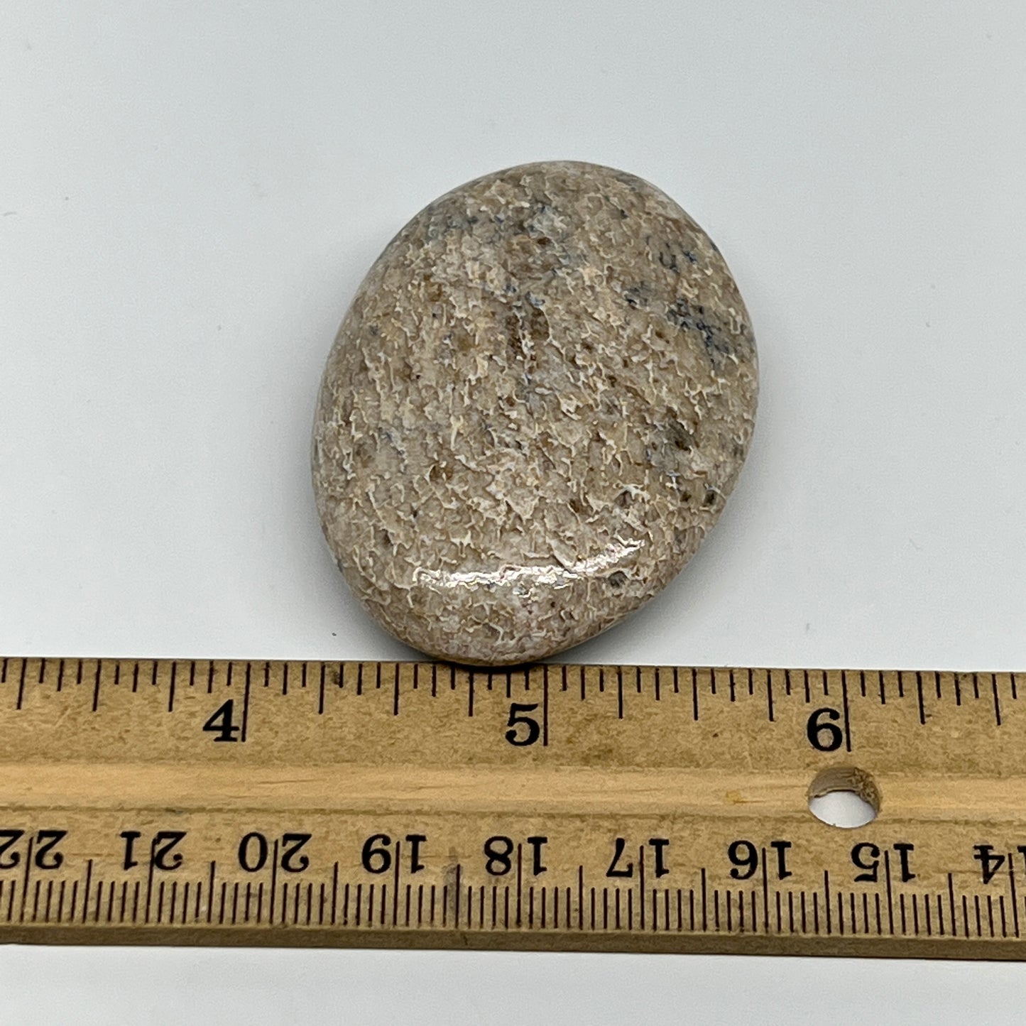 48.7g,2.2"x1.5"x0.7", Small Dinosaur Bones Palm-Stone from Morocco, B20466