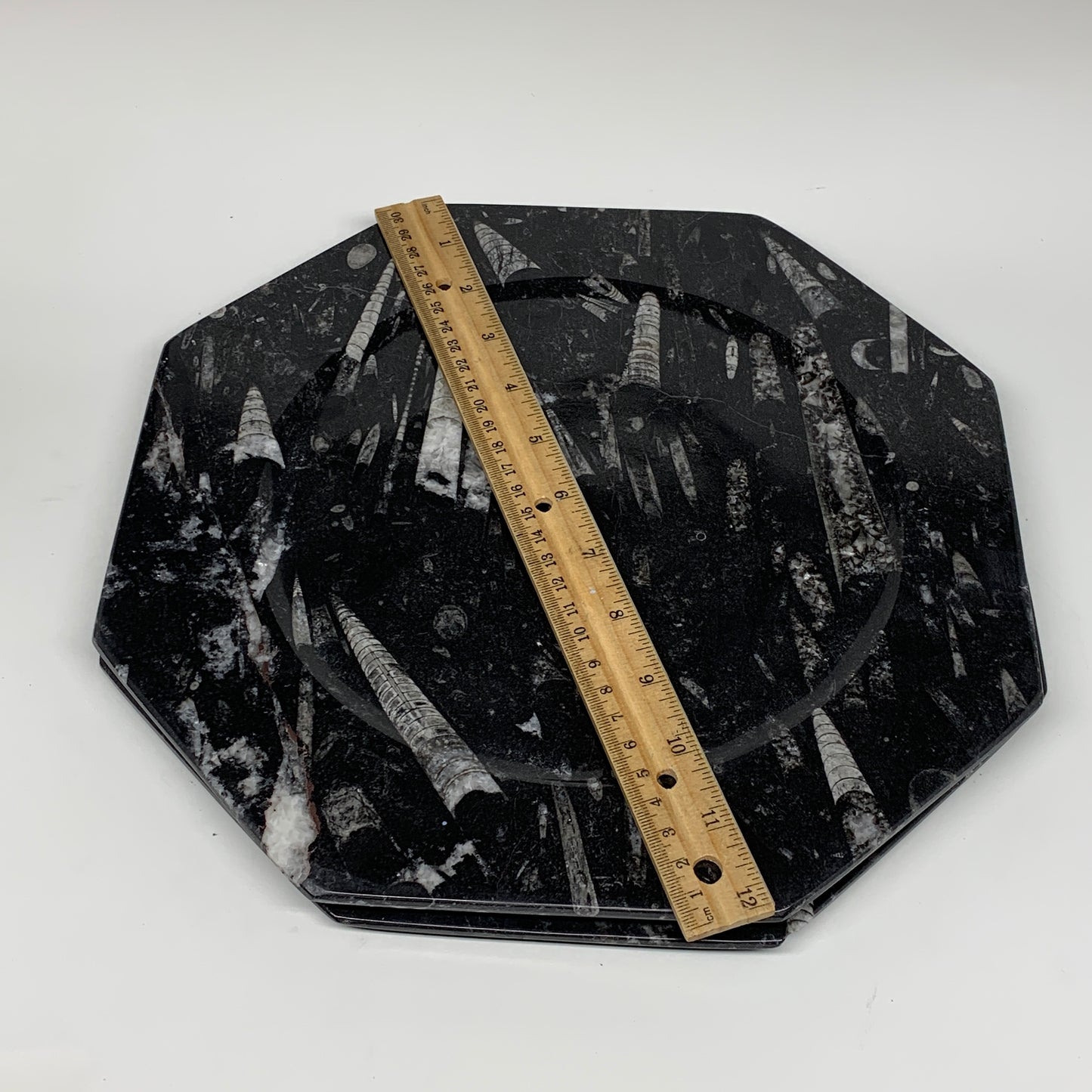 2pcs, 12" Large Octagon Shape Black Fossils Orthoceras Plates @Morocco, B8303