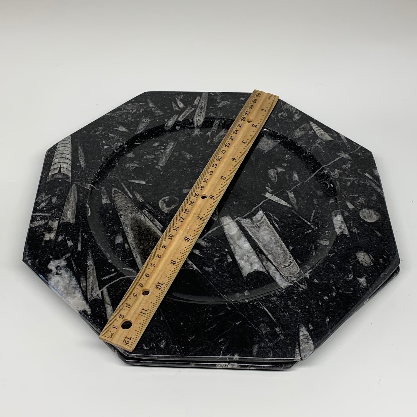 2pcs, 12" Large Octagon Shape Black Fossils Orthoceras Plates @Morocco, B8304