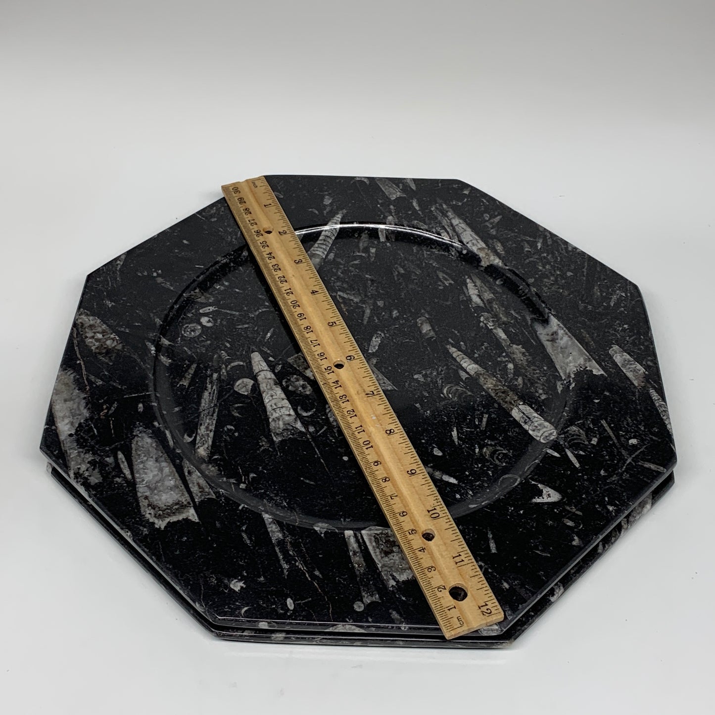 2pcs, 12" Large Octagon Shape Black Fossils Orthoceras Plates @Morocco, B8308