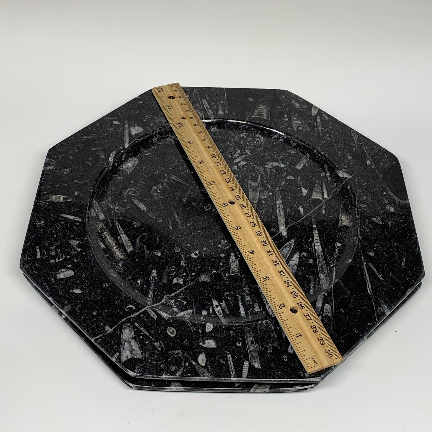 2pcs, 12" Large Octagon Shape Black Fossils Orthoceras Plates @Morocco, B8310