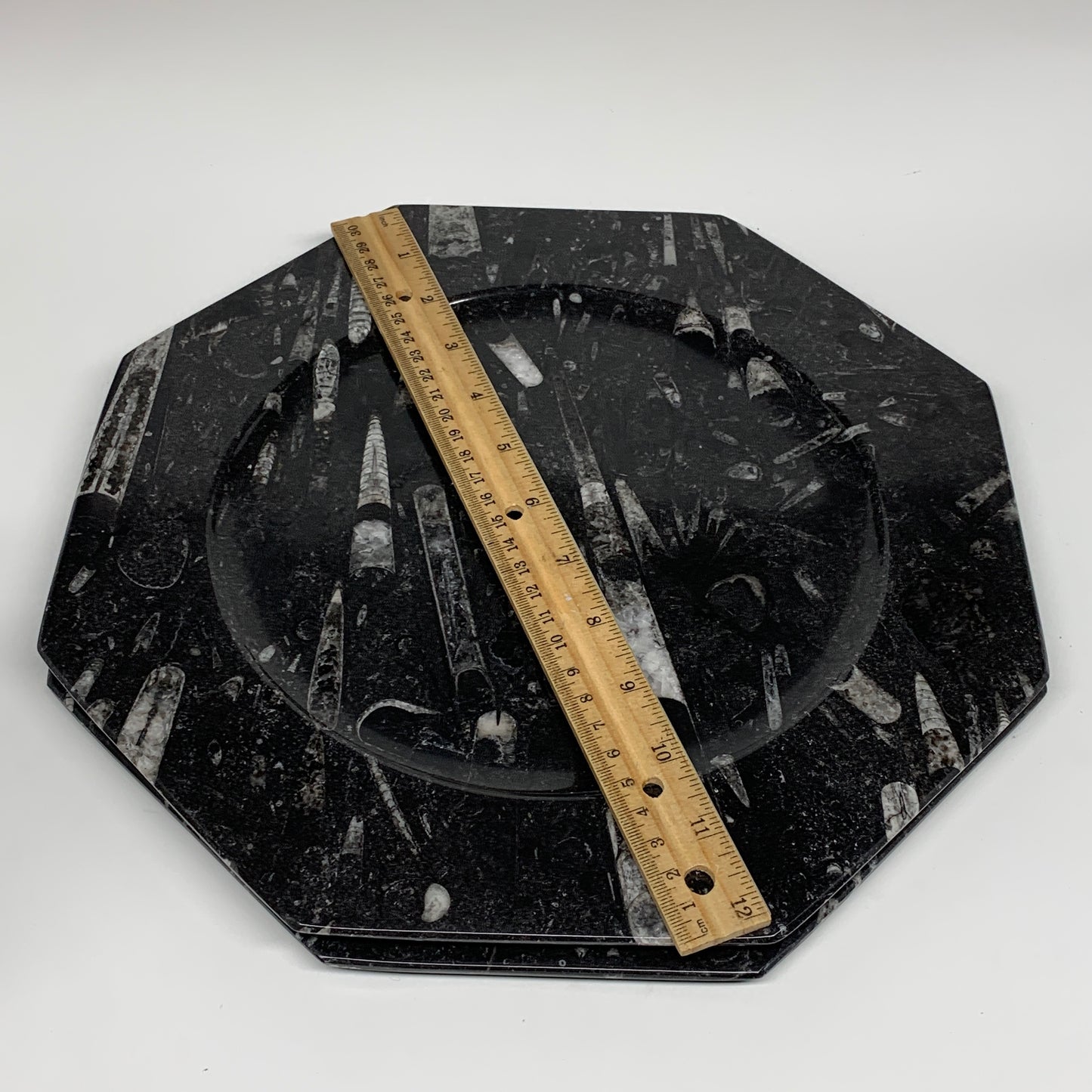2pcs, 12" Large Octagon Shape Black Fossils Orthoceras Plates @Morocco, B8313