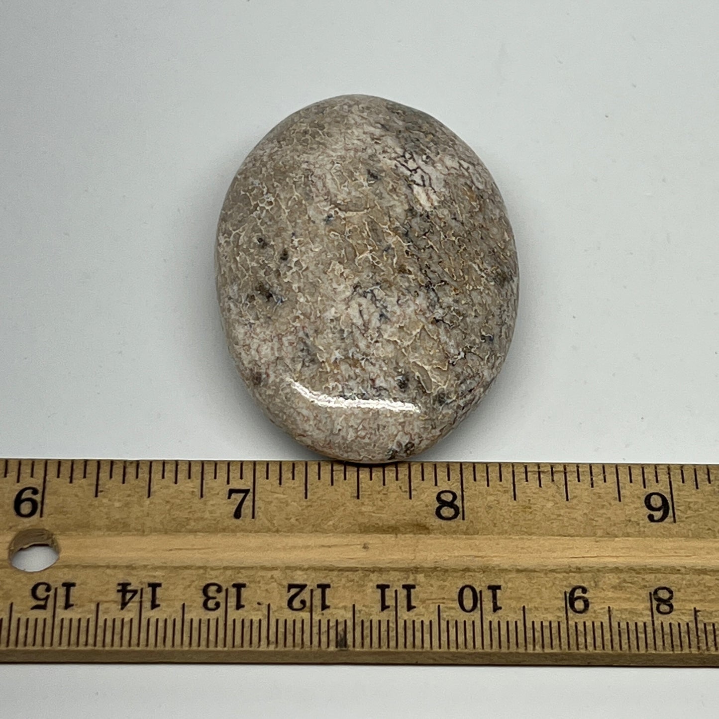 49.9g,2.2"x1.6"x0.7", Small Dinosaur Bones Palm-Stone from Morocco, B20477