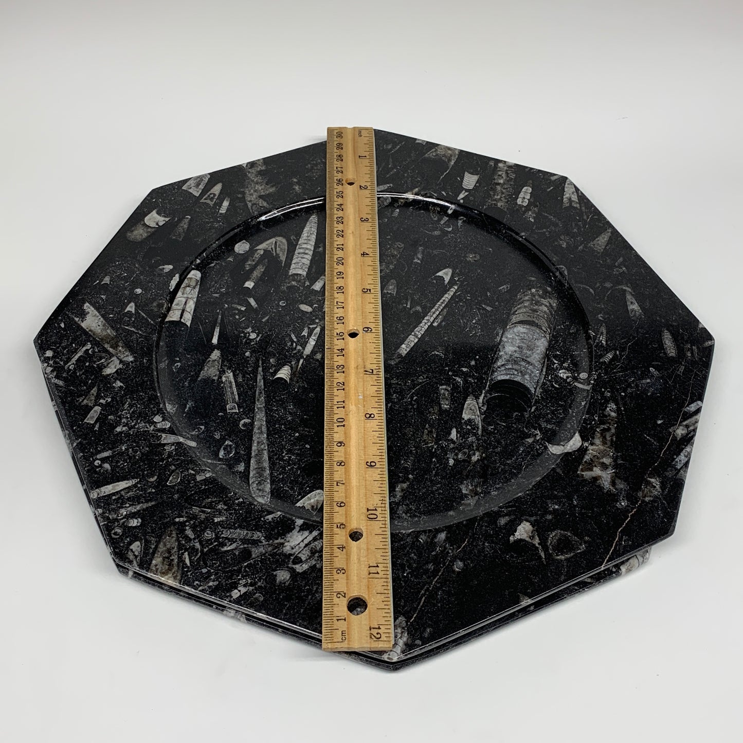 2pcs, 12" Large Octagon Shape Black Fossils Orthoceras Plates @Morocco, B8314