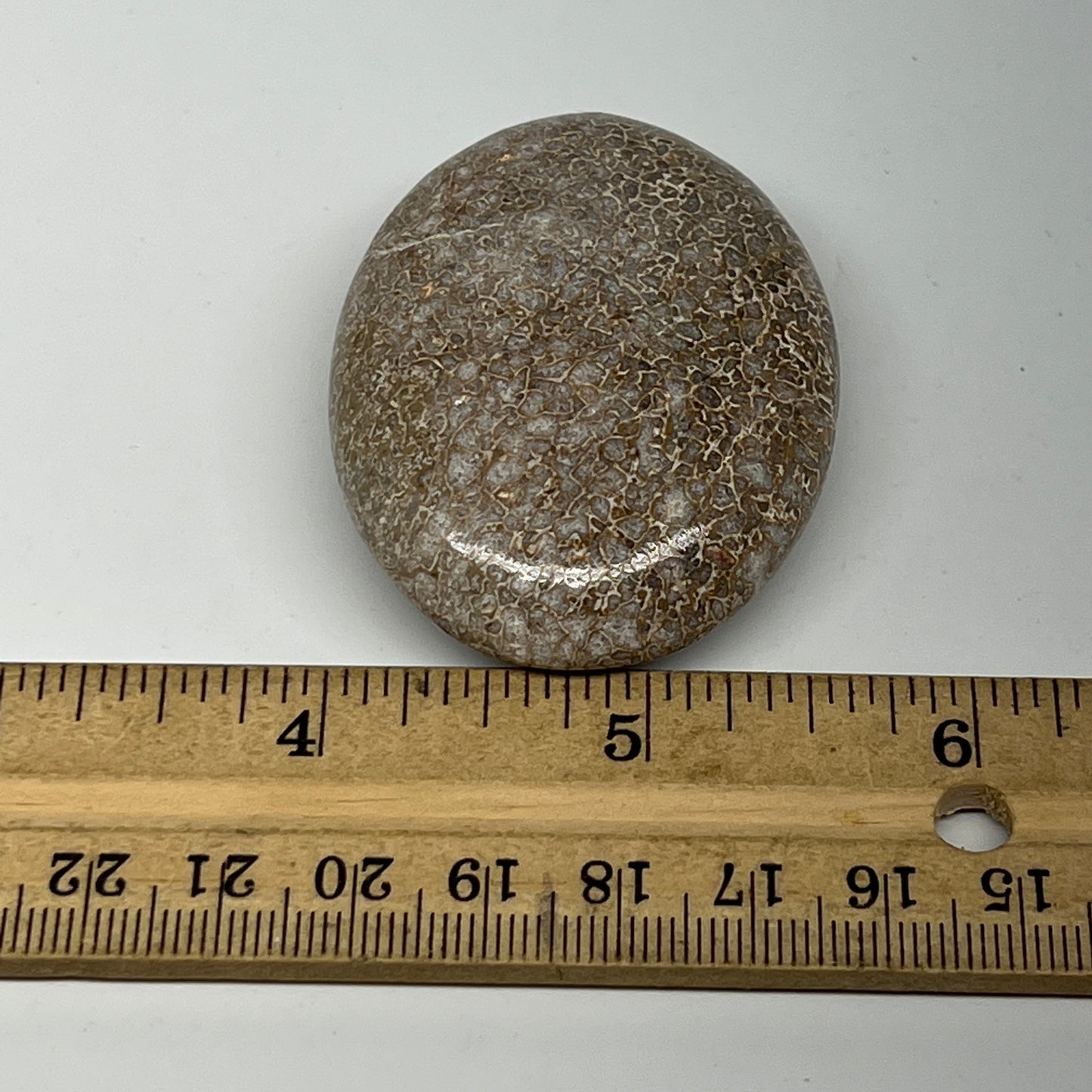 59.9g,2.2"x1.7"x0.8", Small Dinosaur Bones Palm-Stone from Morocco, B20482
