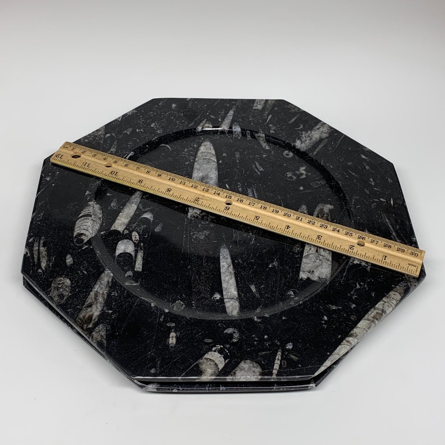 2pcs, 12" Large Octagon Shape Black Fossils Orthoceras Plates @Morocco, B8321
