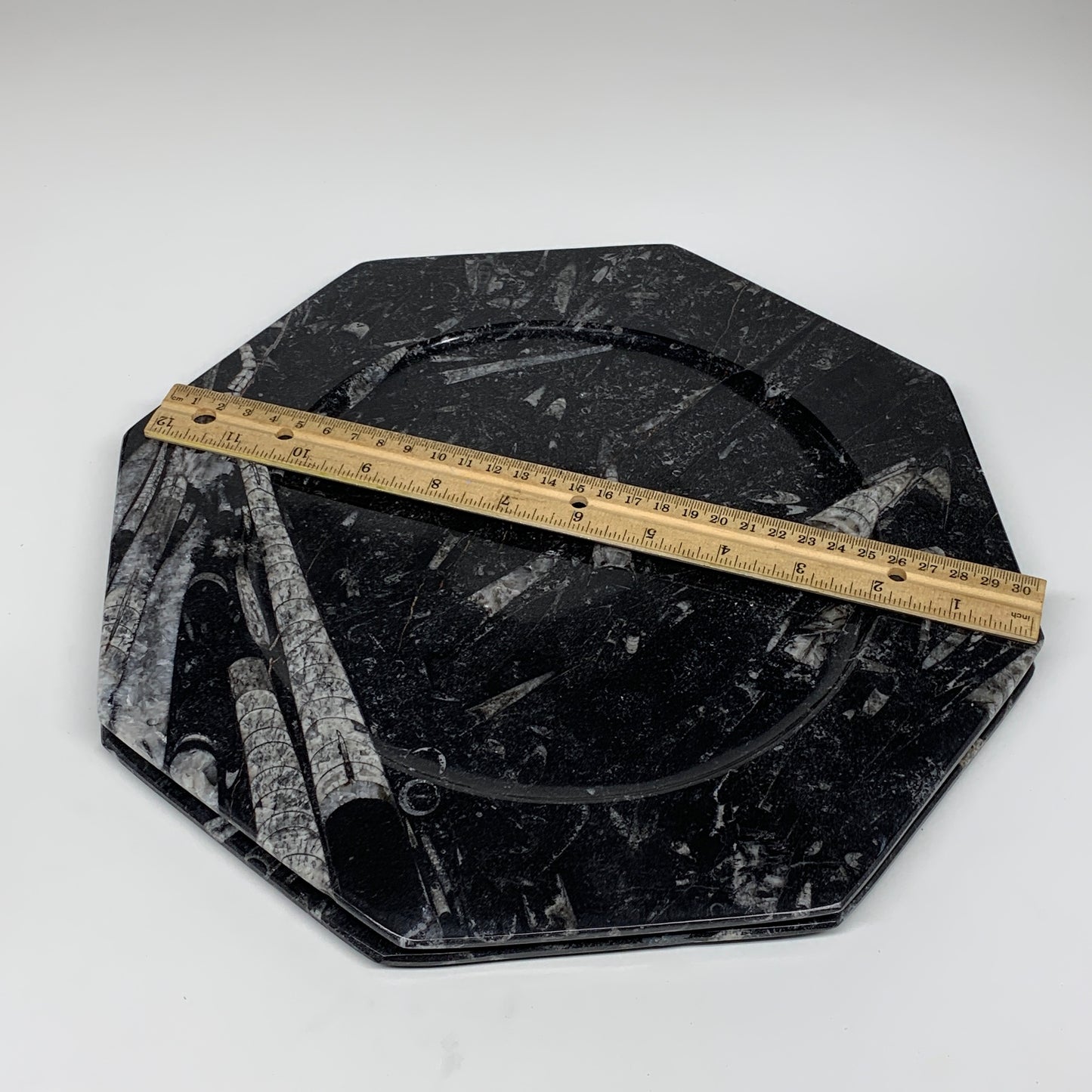 2pcs, 12" Large Octagon Shape Black Fossils Orthoceras Plates @Morocco, B8323