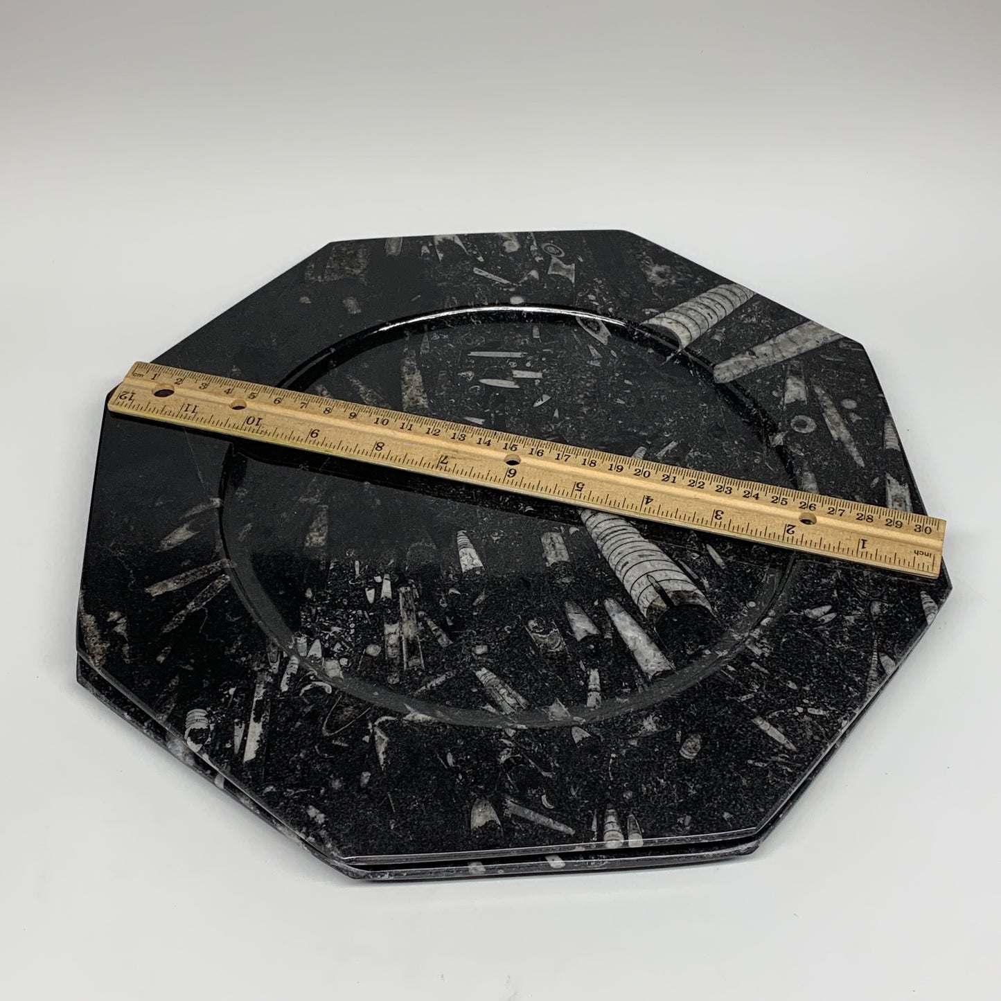 2pcs, 12" Large Octagon Shape Black Fossils Orthoceras Plates @Morocco, B8326