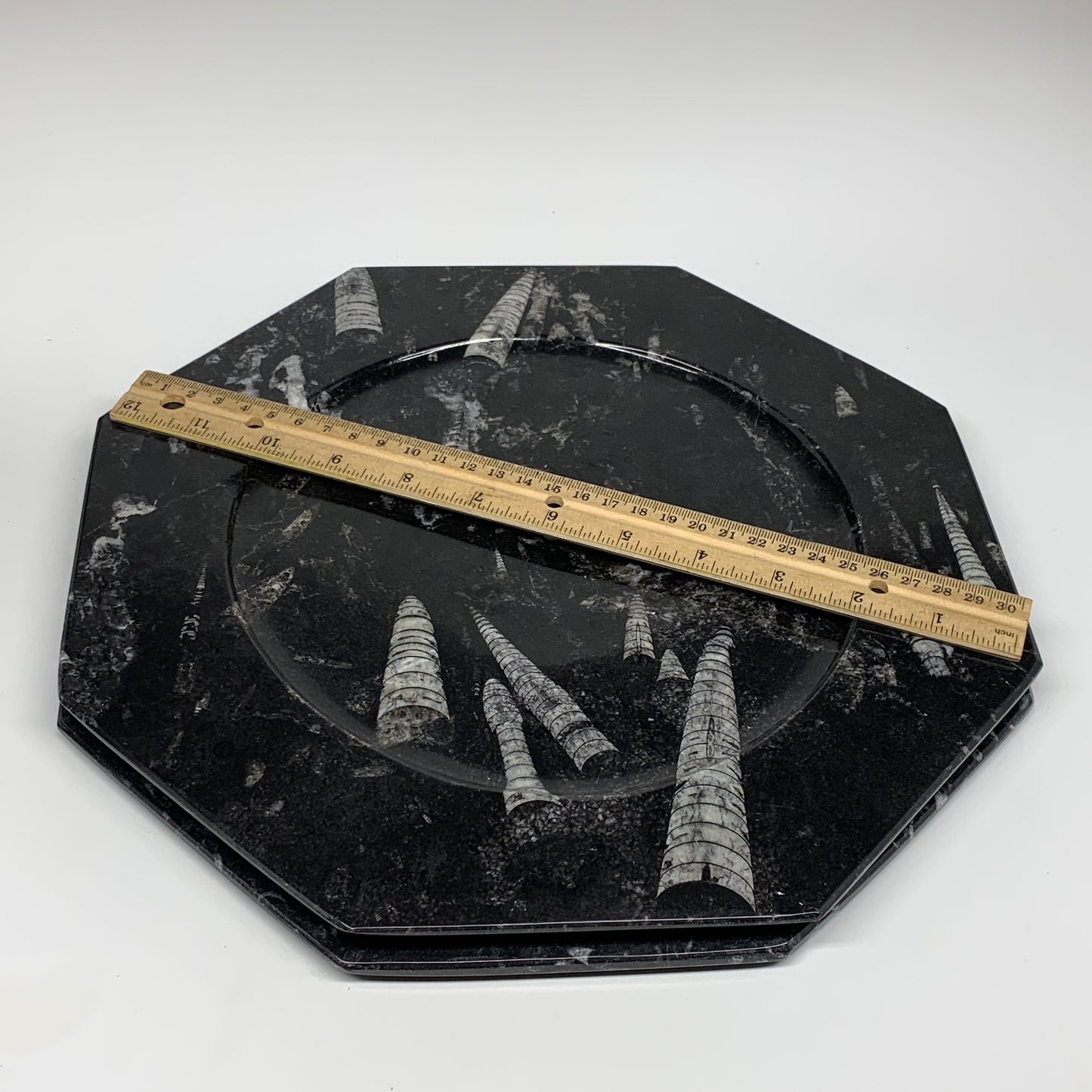 2pcs, 12" Large Octagon Shape Black Fossils Orthoceras Plates @Morocco, B8328